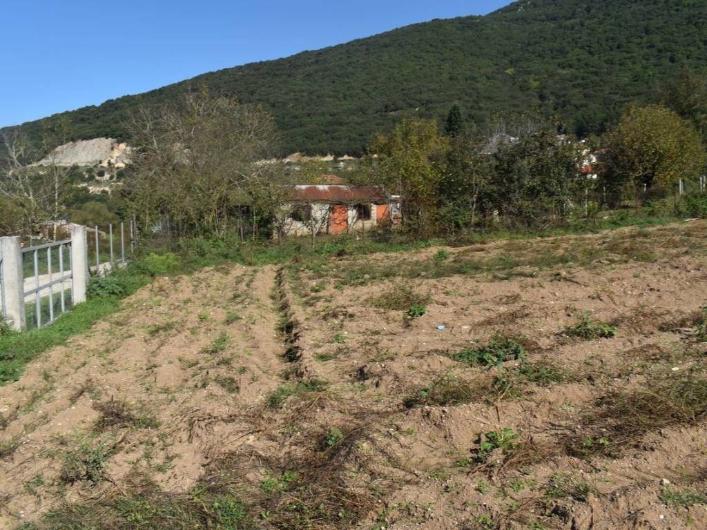 ΑΠΟΨΗ ΑΚΙΝΗΤΟΥ