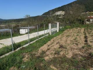 ΑΠΟΨΗ ΑΚΙΝΗΤΟΥ