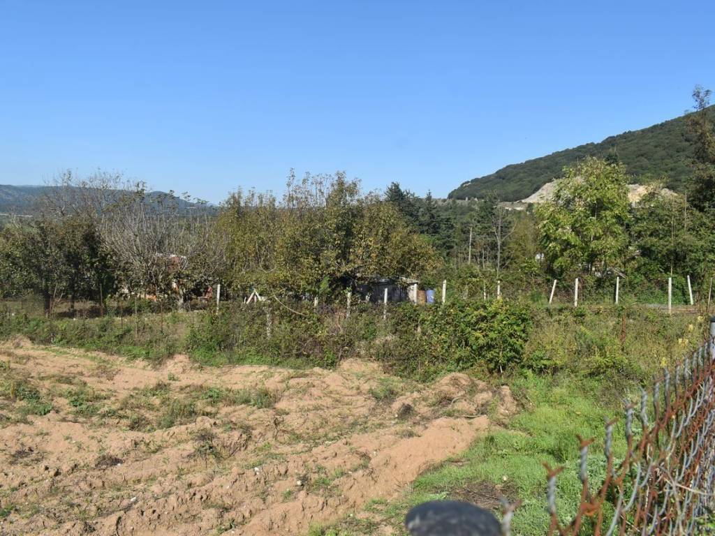 ΑΠΟΨΗ ΑΚΙΝΗΤΟΥ