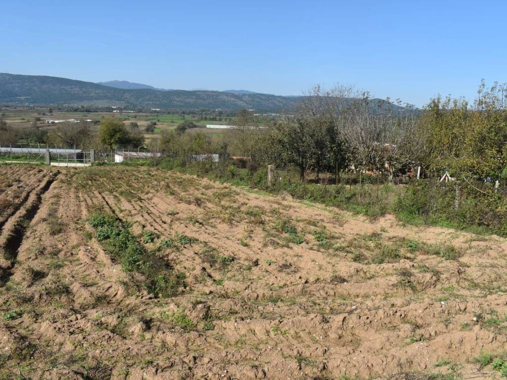 ΑΠΟΨΗ ΑΚΙΝΗΤΟΥ