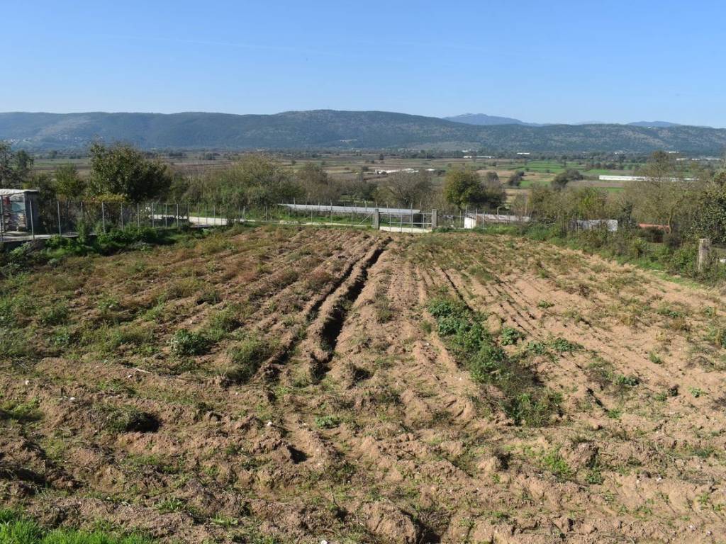 ΑΠΟΨΗ ΑΚΙΝΗΤΟΥ