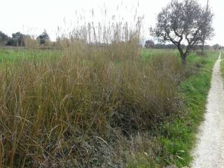 frontage to the road - πρόσοψη στο δρόμο