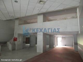 ΕΣΩΤΕΡΙΚΗ ΛΗΨΗ