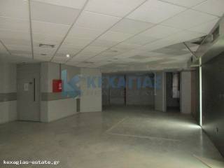 ΕΣΩΤΕΡΙΚΗ ΛΗΨΗ