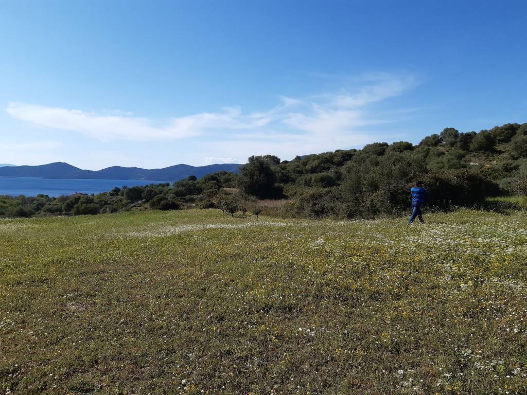 ΟΙΚΟΠΕΔΟ ΚΑΙ ΒΟΡΕΙΟΔΥΤΙΚΗ ΘΕΑ