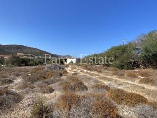 Aγροτεμάχιο