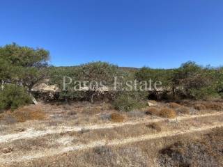 Aγροτεμάχιο