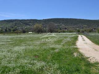 ΦΩΤΟΓΡΑΦΙΑ ΑΓΡΟΤΕΜΑΧΙΟΥ