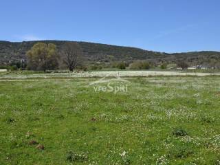 ΦΩΤΟΓΡΑΦΙΑ ΑΓΡΟΤΕΜΑΧΙΟΥ