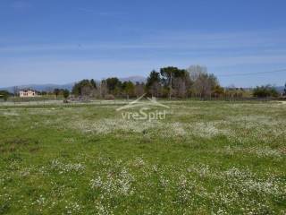 ΦΩΤΟΓΡΑΦΙΑ ΑΓΡΟΤΕΜΑΧΙΟΥ