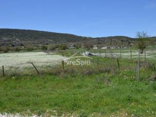 ΦΩΤΟΓΡΑΦΙΑ ΑΓΡΟΤΕΜΑΧΙΟΥ