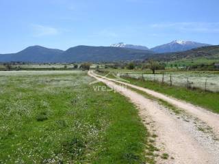 ΦΩΤΟΓΡΑΦΙΑ ΑΓΡΟΤΕΜΑΧΙΟΥ