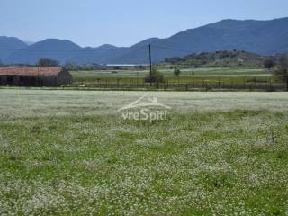 ΦΩΤΟΓΡΑΦΙΑ ΑΓΡΟΤΕΜΑΧΙΟΥ