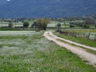 ΦΩΤΟΓΡΑΦΙΑ ΑΓΡΟΤΕΜΑΧΙΟΥ