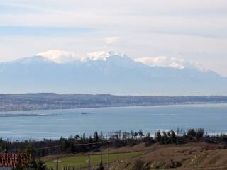 E thea apo to kathistiko.