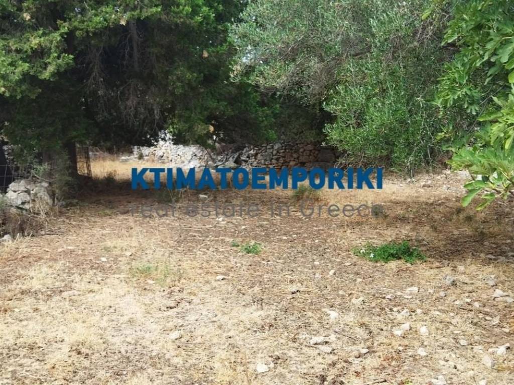 Κήπος