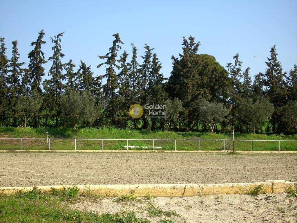 Εξωτερικός Χώρος