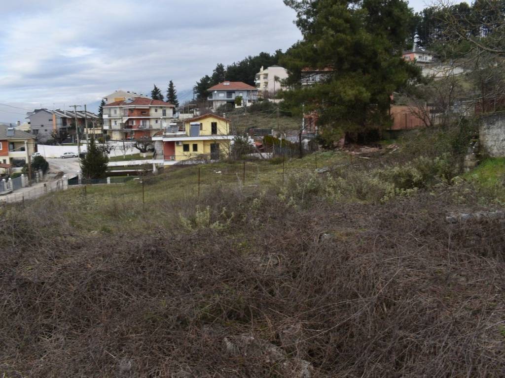 ΑΠΟΨΗ ΟΙΚΟΠΕΔΟΥ