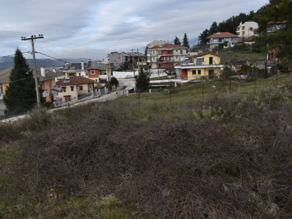 ΑΠΟΨΗ ΟΙΚΟΠΕΔΟΥ