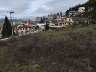 ΑΠΟΨΗ ΟΙΚΟΠΕΔΟΥ