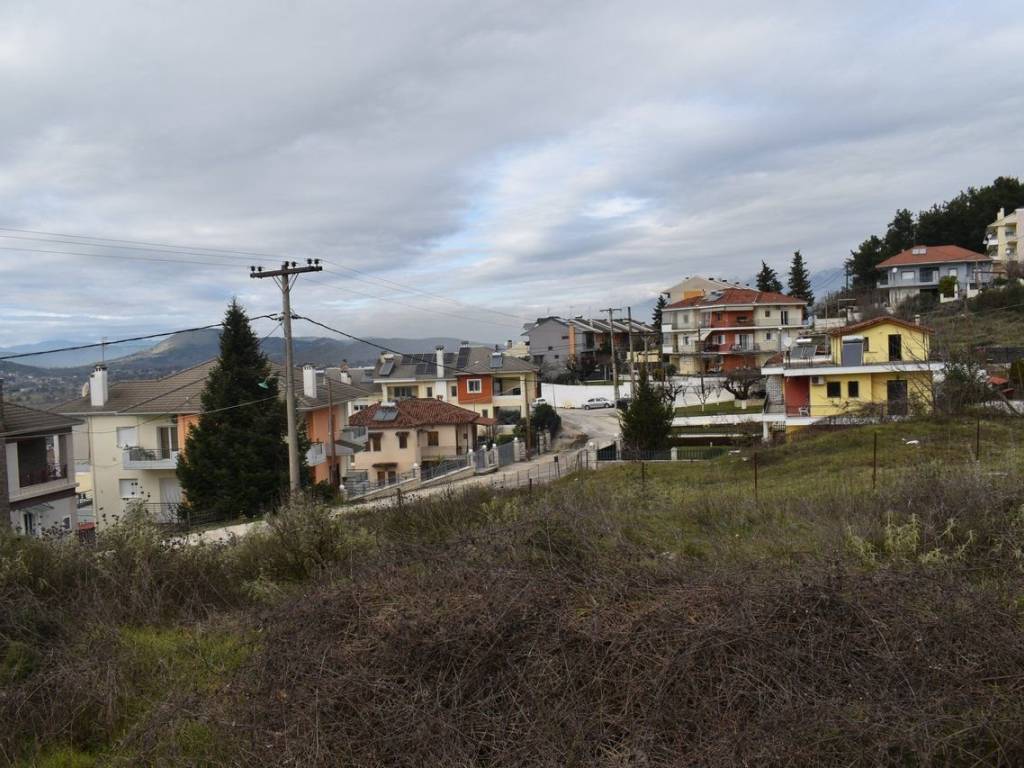 ΑΠΟΨΗ ΟΙΚΟΠΕΔΟΥ