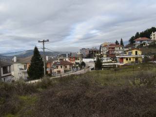 ΑΠΟΨΗ ΟΙΚΟΠΕΔΟΥ