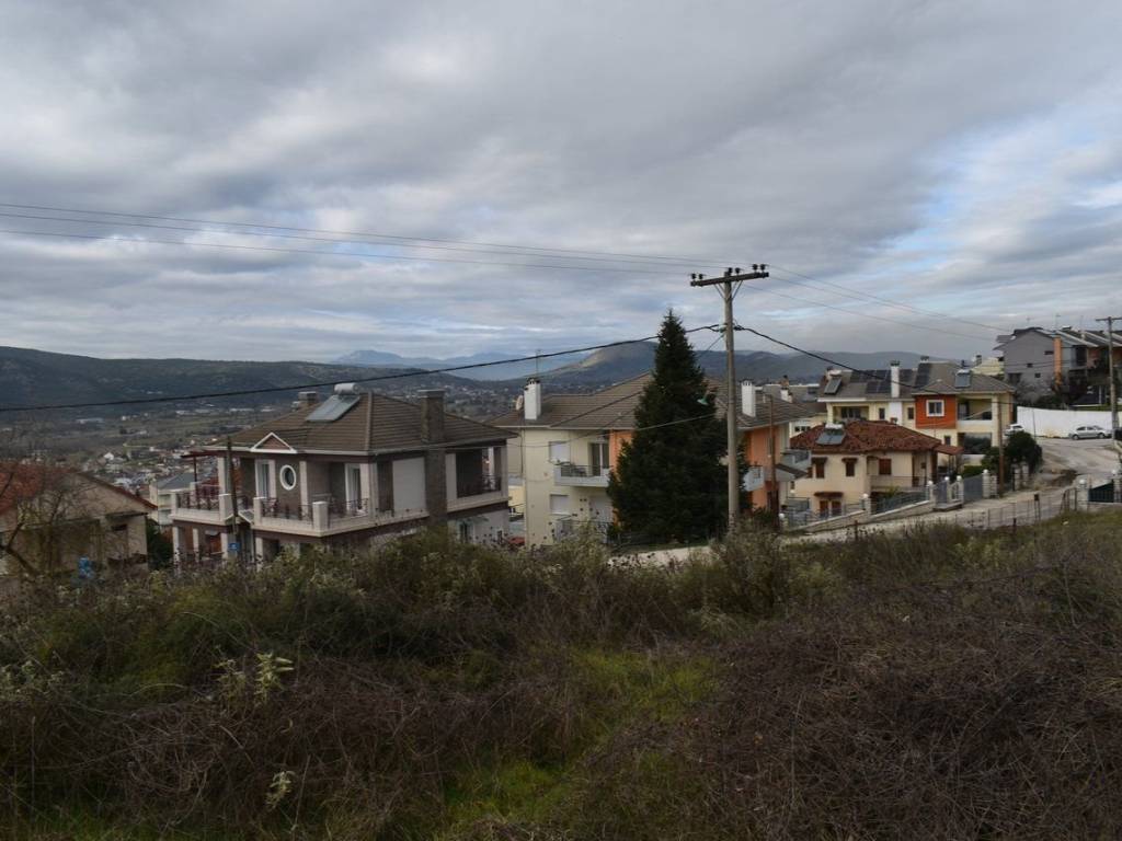 ΑΠΟΨΗ ΟΙΚΟΠΕΔΟΥ