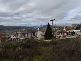 ΑΠΟΨΗ ΟΙΚΟΠΕΔΟΥ