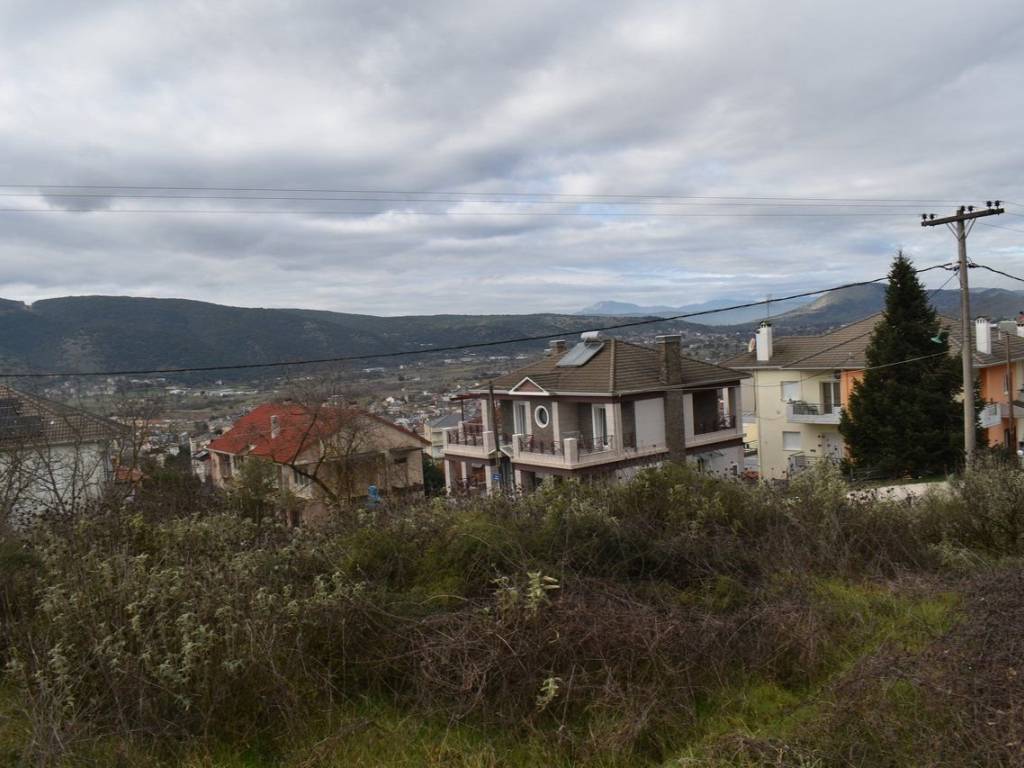 ΑΠΟΨΗ ΟΙΚΟΠΕΔΟΥ