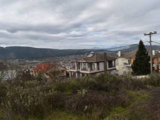 ΑΠΟΨΗ ΟΙΚΟΠΕΔΟΥ