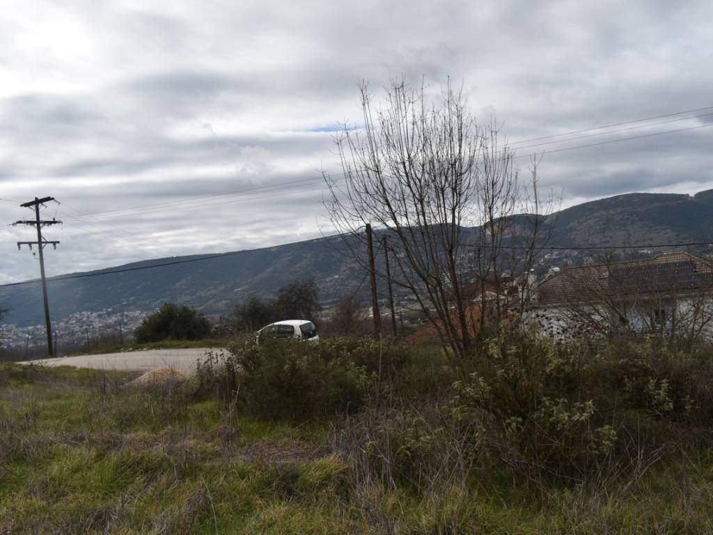 ΑΠΟΨΗ ΟΙΚΟΠΕΔΟΥ