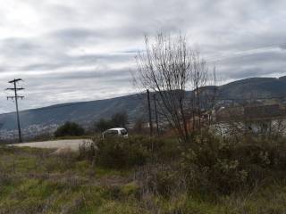 ΑΠΟΨΗ ΟΙΚΟΠΕΔΟΥ