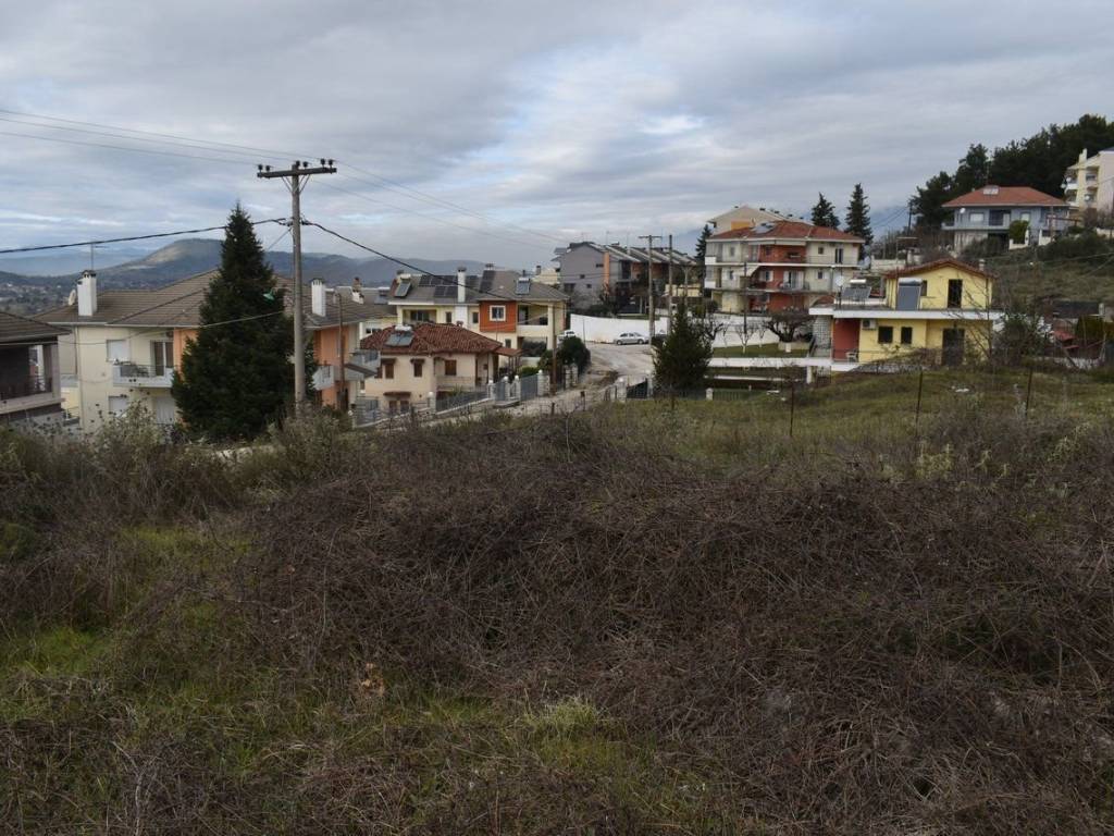 ΑΠΟΨΗ ΟΙΚΟΠΕΔΟΥ