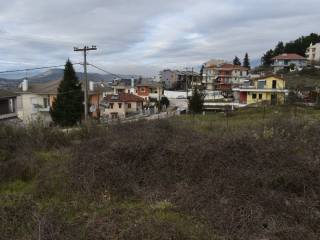 ΑΠΟΨΗ ΟΙΚΟΠΕΔΟΥ