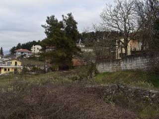 ΑΠΟΨΗ ΟΙΚΟΠΕΔΟΥ