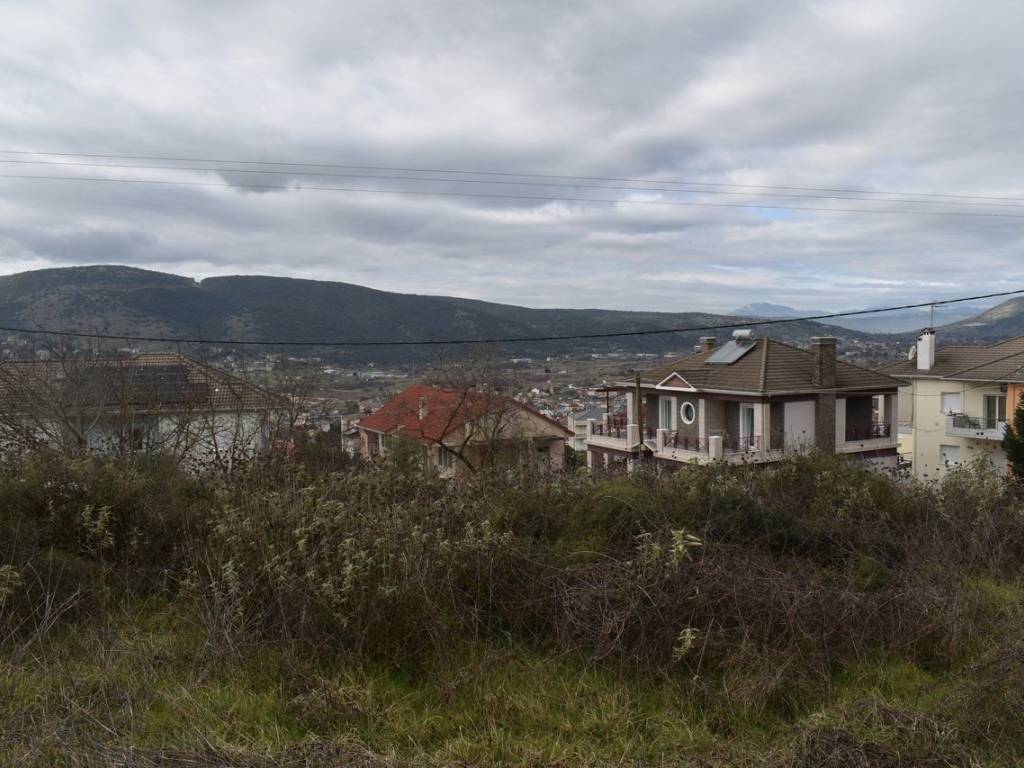 ΑΠΟΨΗ ΟΙΚΟΠΕΔΟΥ