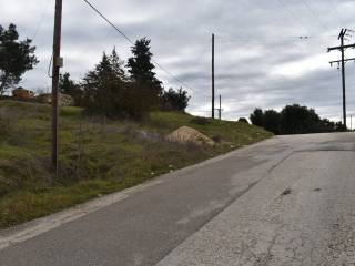 ΑΠΟΨΗ ΟΙΚΟΠΕΔΟΥ