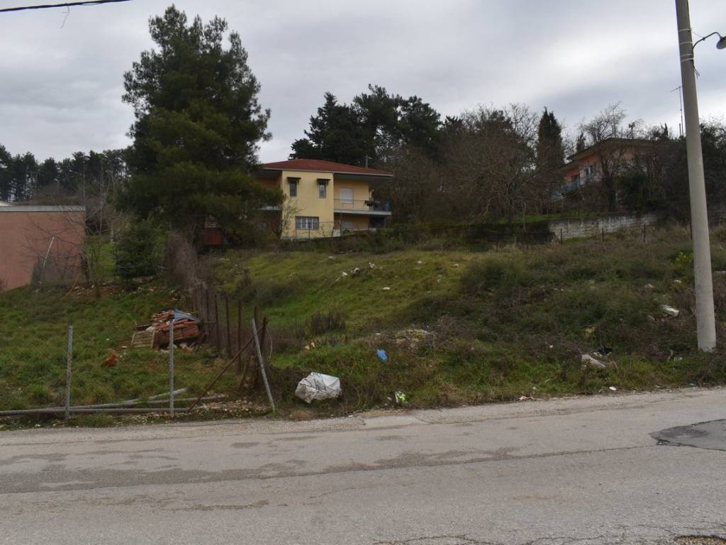 ΑΠΟΨΗ ΟΙΚΟΠΕΔΟΥ