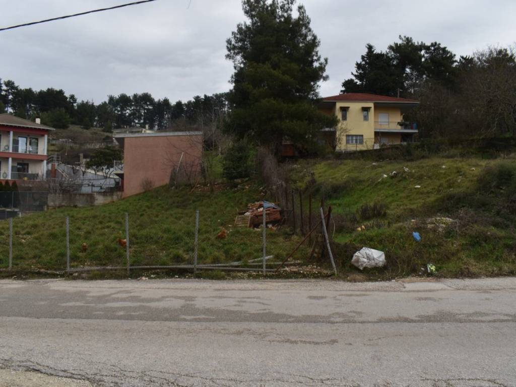 ΑΠΟΨΗ ΟΙΚΟΠΕΔΟΥ