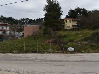 ΑΠΟΨΗ ΟΙΚΟΠΕΔΟΥ