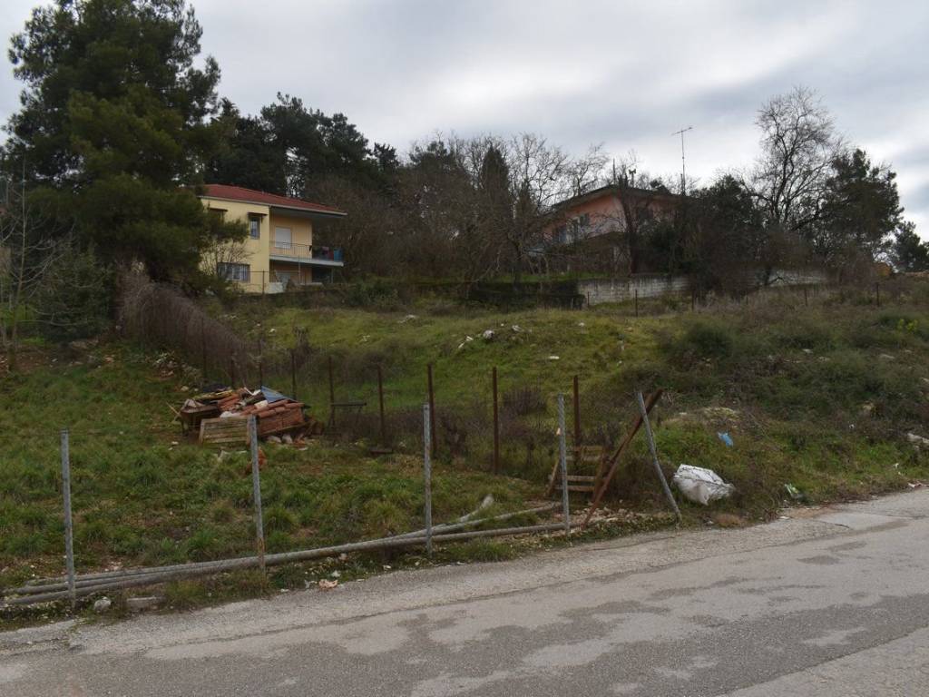 ΑΠΟΨΗ ΟΙΚΟΠΕΔΟΥ