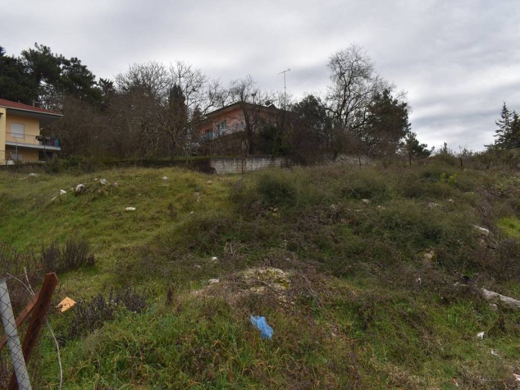 ΑΠΟΨΗ ΟΙΚΟΠΕΔΟΥ