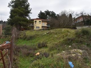 ΑΠΟΨΗ ΟΙΚΟΠΕΔΟΥ