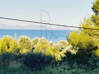 Θέα Τορωναίος