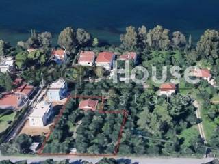 Ύπαρξη ανθρώπου