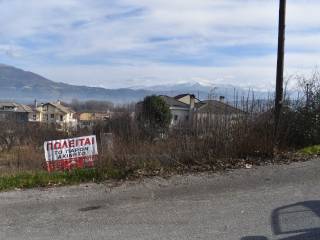 ΑΠΟΨΗ ΟΙΚΟΠΕΔΟΥ