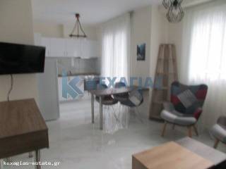 ΕΣΩΤΕΡΙΚΗ ΛΗΨΗ