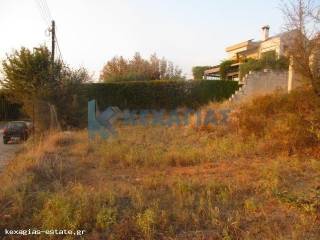 ΕΞΩΤΕΡΙΚΗ ΛΗΨΗ