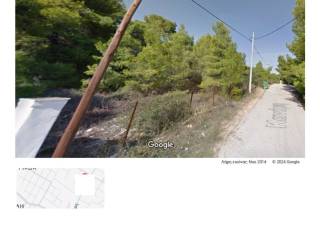 ΑΓΡΟΤΕΜΑΧΙΟ ΟΔΟΥ ΚΑΡΑΙΣΚΑΚΗ 24(Π. ΚΑΝΑΡΗ)