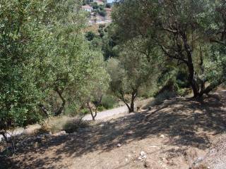 Landscape and terrain of land for sale in Rachi Kioni Ithaca